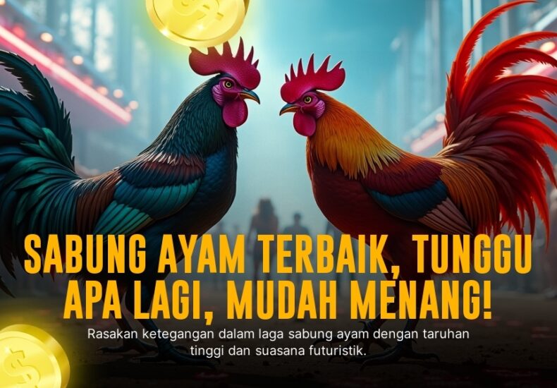 Mengupas Tuntas Sabung Ayam Bangkok di SV388