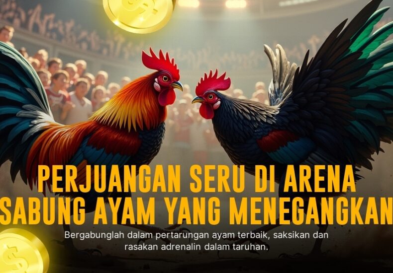 Mendalami Keunggulan Ayam Bangkok dalam Sabung Ayam Online SV388