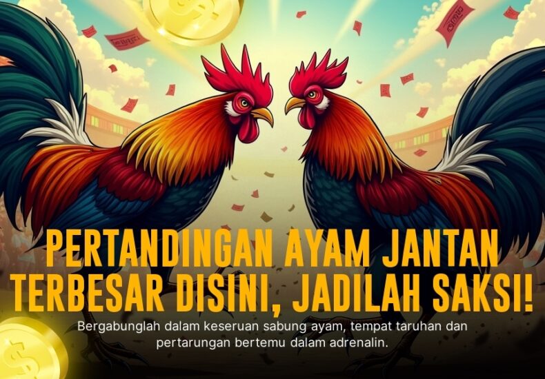 Keunikan dan Odds Sabung Ayam di Platform SV388